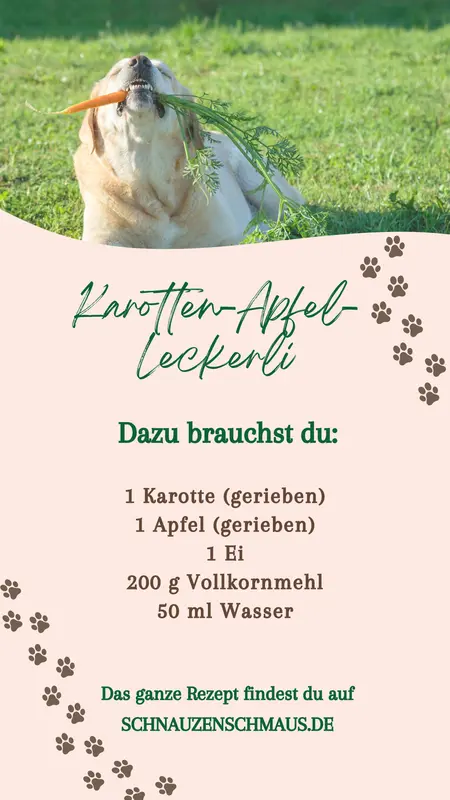 Rezept Karotte-Apfel-Leckerli