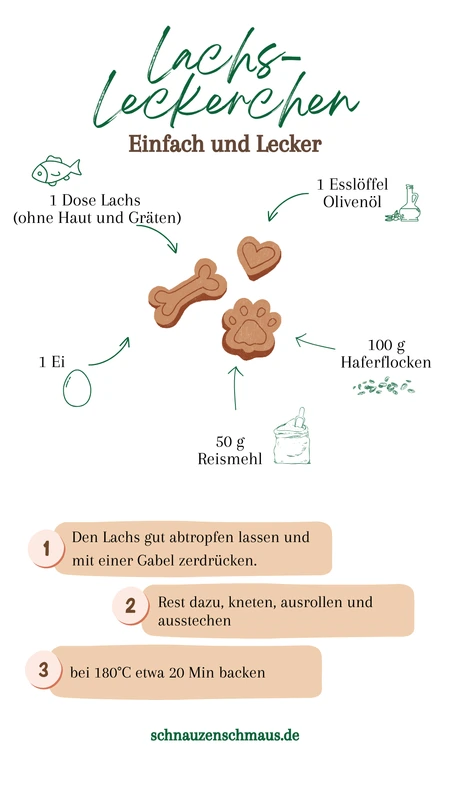Rezept Lachsleckerlis