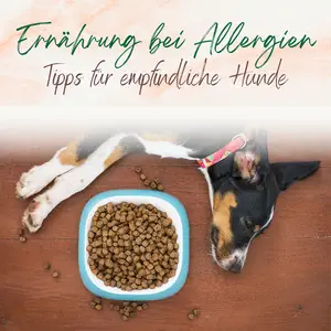 Blogbeitrag Ernährung bei Allergien