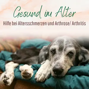 Blogbeitrag Gesund im Alter