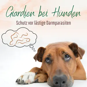 Blogbeitrag Giardien