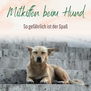 Blogbeitrag Kiffen beim Hund