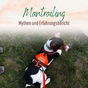 Blogbeitrag Mantrailing Erfahrungsbericht