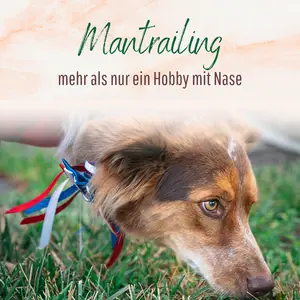 Blogbeitrag Mantrailing