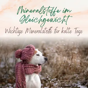 Blogbeitrag Mineralstoffe