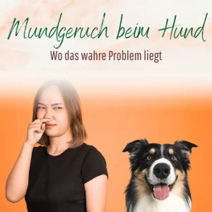 Blogbeitrag Mundgeruch