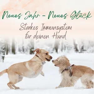 Blogbeitrag Neues Jahr