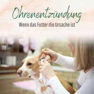 Blogbeitrag Ohrenentzündungen