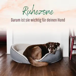 Blogbeitrag Ruhezone