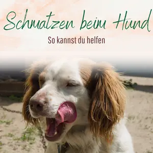 Blogbeitrag Schmatzen