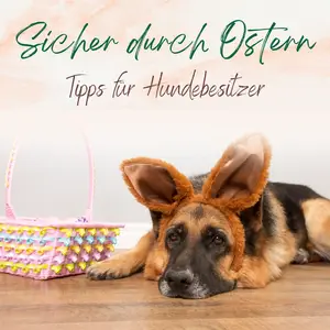 Blogbeitrag Sicher durch Ostern