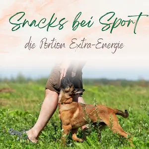 Blogbeitrag Snacks beim Sport