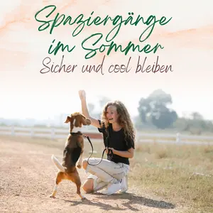 Blogbeitrag Sommerspaziergang