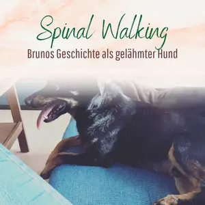 Blogbeitrag Spinal Walker