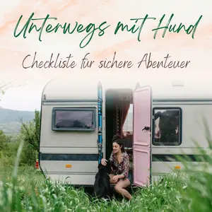 Blogbeitrag Unterwegs mit Hund