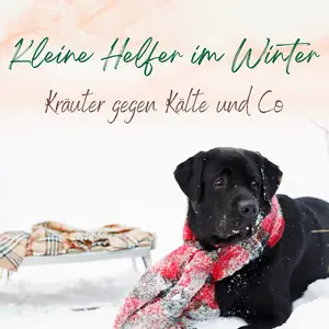 Blogbeitrag Winterhelfer