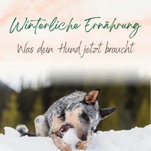 Blogbeitrag Winterliche Ernährung