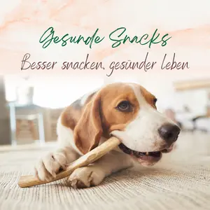 Blogbeitrag gesunde Snacks