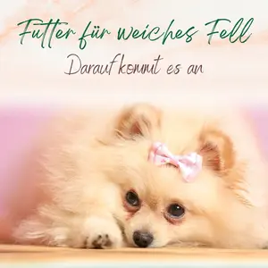 Blogbeitrag weiches Fell