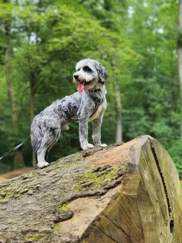 Kundenfeedback Benny und Susanne