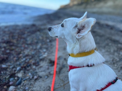 Kundenfeedback Gerda und Susann