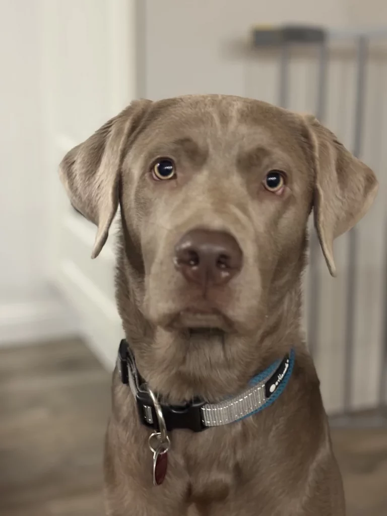 Kundenfeedback Ludwig und Sabrina