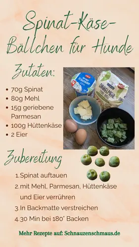 Rezept Spinat-Käse-Bällchen Schnauzenschmaus