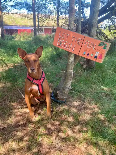 Kundenfeedback Ferdinand