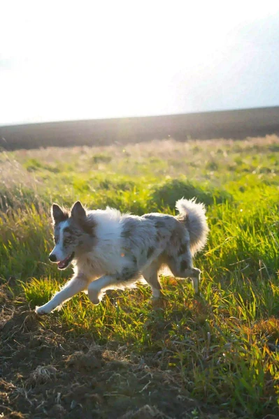 Aktivität im Sommer - Ernährung im Frühling