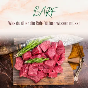 Blogbeitrag - BARF