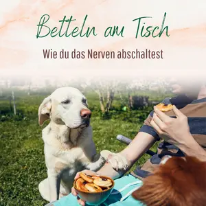 Blogbeitrag - Betteln am Tisch