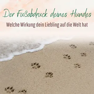 Blogbeitrag - Fußabdruck deines Hundes