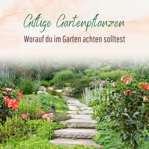 Blogbeitrag - Giftige Gartenpflanzen