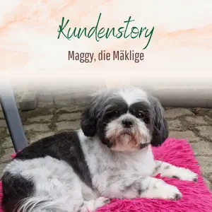 Blogbeitrag - Kundenstory Maggy