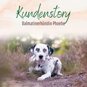 Blogbeitrag - Kundenstory Phoebe