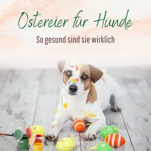 Blogbeitrag - Ostereier für Hunde