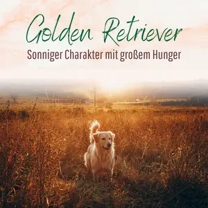 Blogbeitrag - Rasse Golden Retriever