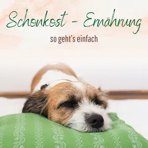 Blogbeitrag - Schonkosternährung