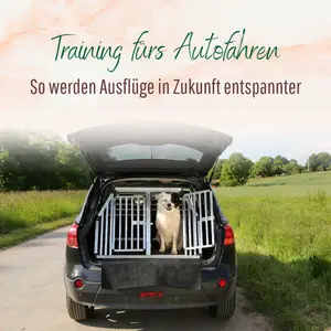 Blogbeitrag - Training fürs Autofahren