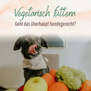 Blogbeitrag - Vegetarisch füttern