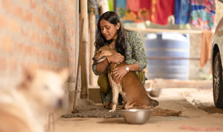 Tierschutzhund Pflege