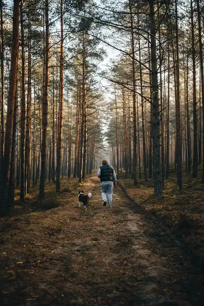 Wandern mit Hund im Wald