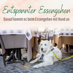 Beitrag Entspannter Essen gehen