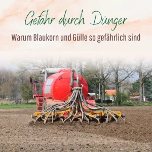 Blogbeitrag - Gefahr durch Dünger