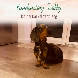 Blogbeitrag - Kundenstory Dobby