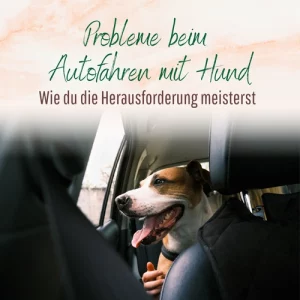 Blogbeitrag - Probleme beim Autofahren