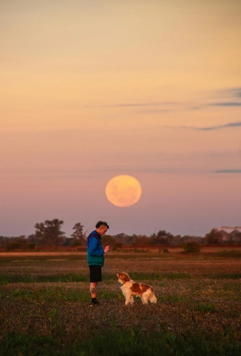 Hund und Mond