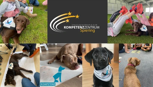 Kompetenzzentrum
