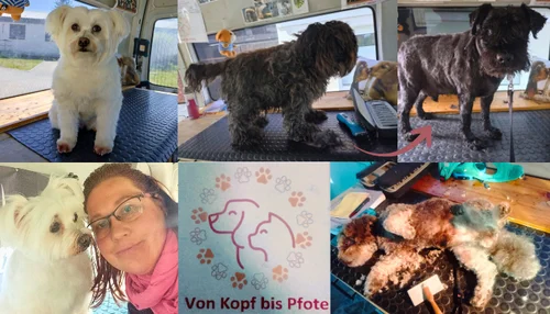 Von Kopf bis Pfote