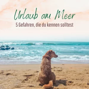 Blogbeitrag Gefahren beim Urlaub am Meer